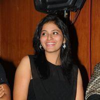 Anjali at Journey Audio Launch Pictures | Picture 127190